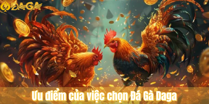 Ưu điểm của việc chọn sảnh Đá Gà tại Nhà Cái DaGa